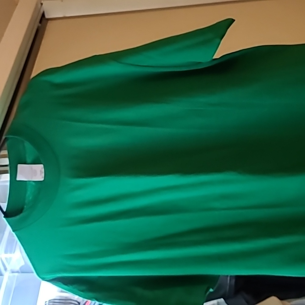 Brand new Alstyle XL men's plain Green tee
